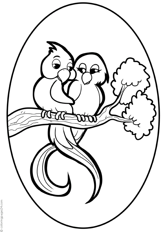 bird-coloring-page-0049-q3