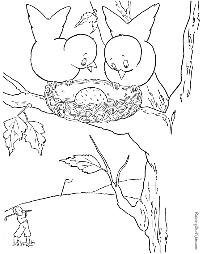 bird-coloring-page-0058-q1