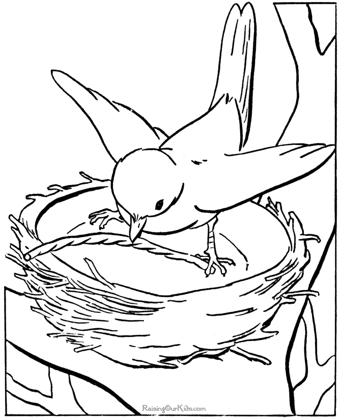 bird-coloring-page-0059-q1