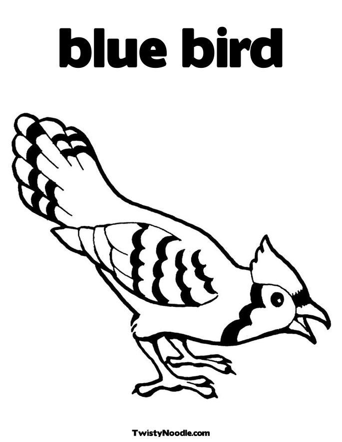 bird-coloring-page-0061-q1