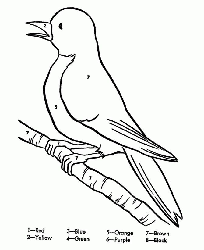 bird-coloring-page-0063-q1