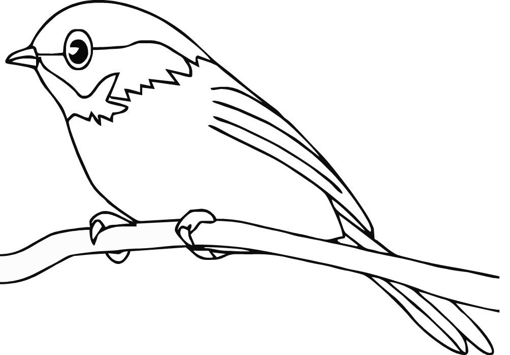 bird-coloring-page-0082-q1