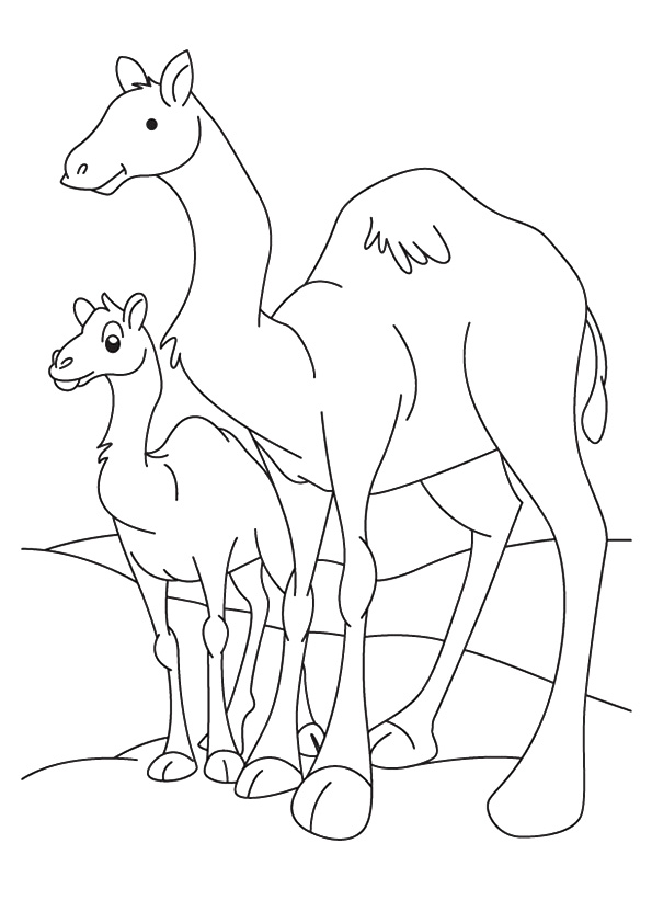 camel-coloring-page-0015-q2