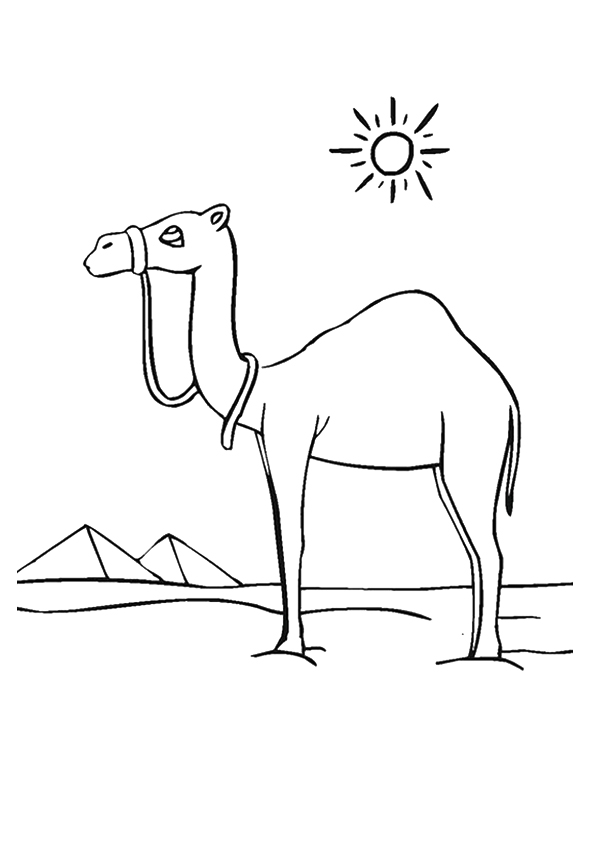 Camel Coloring Pages & Books  100% FREE and printable!