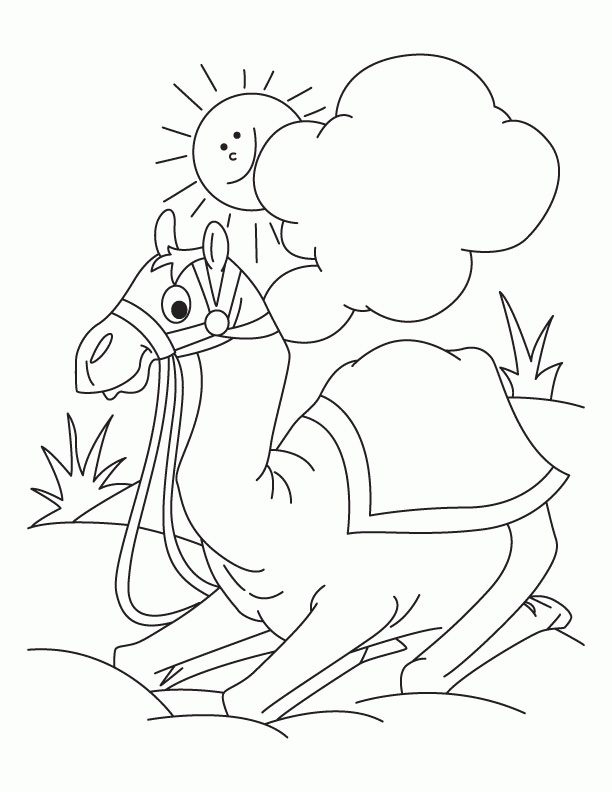 camel-coloring-page-0028-q1