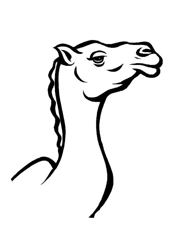 camel-coloring-page-0056-q2