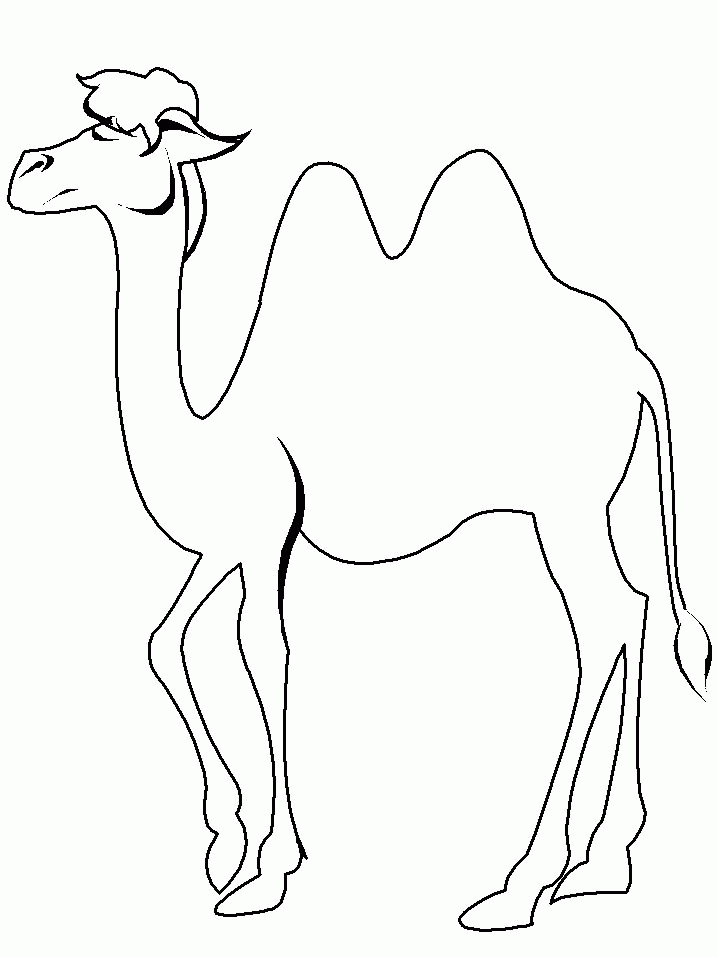 camel-coloring-page-0066-q1