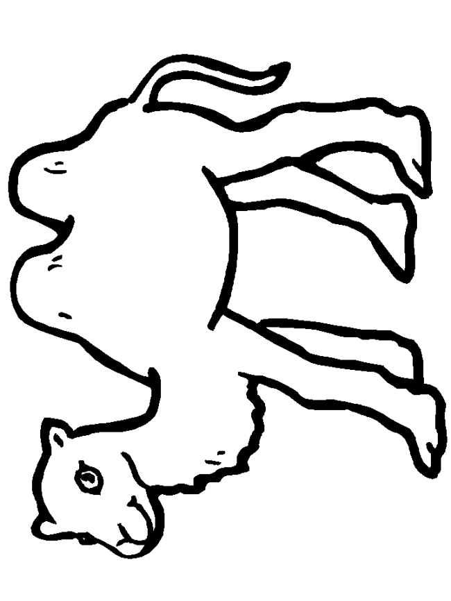 camel-coloring-page-0076-q1