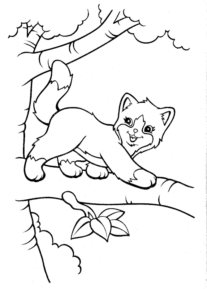 cat-coloring-page-0015-q1