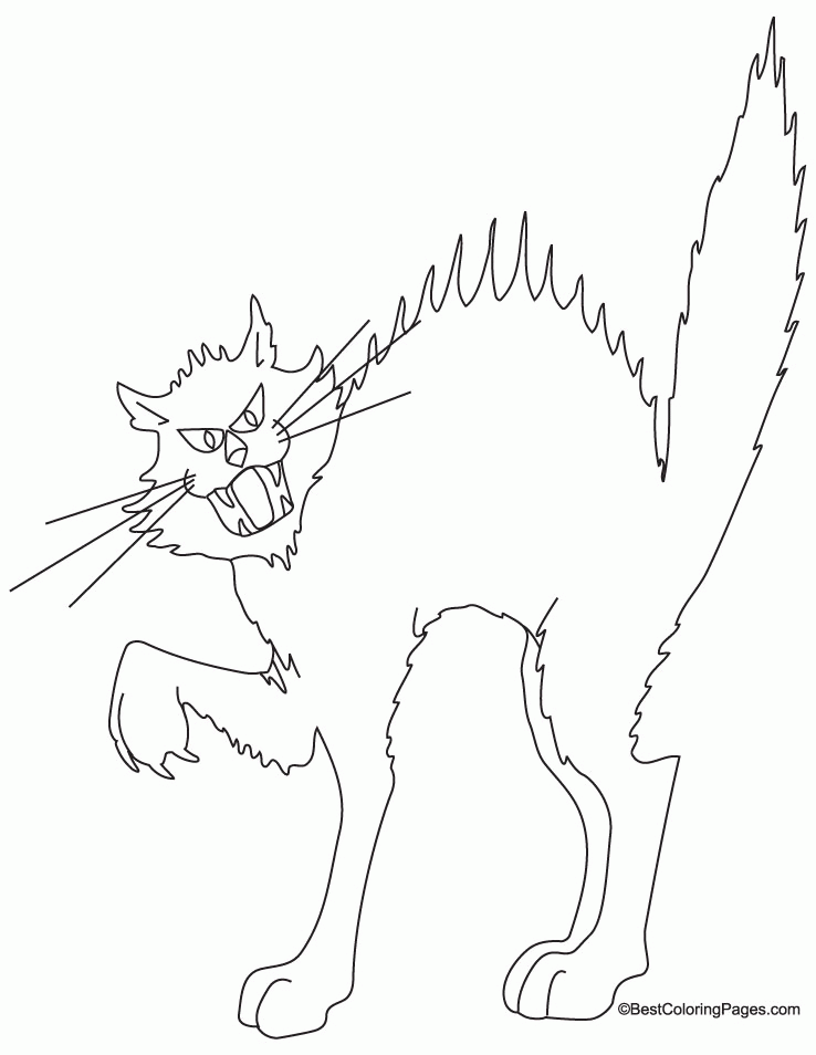 cat-coloring-page-0036-q1