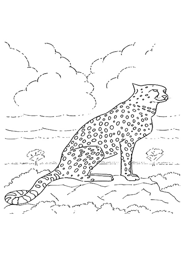 cheetah-coloring-page-0029-q2