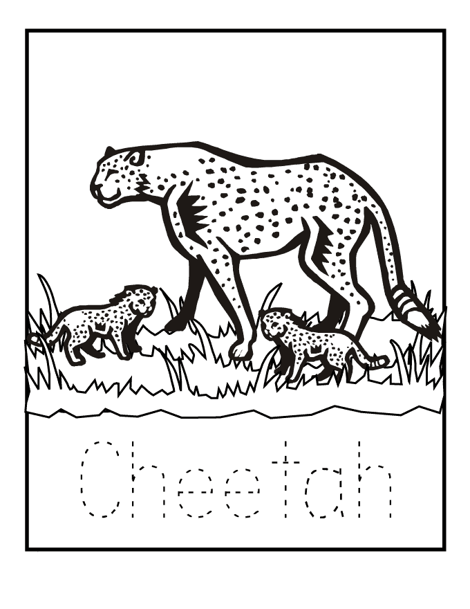 cheetah-coloring-page-0051-q1