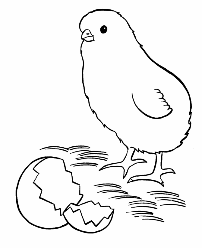 chicken-coloring-page-0013-q1