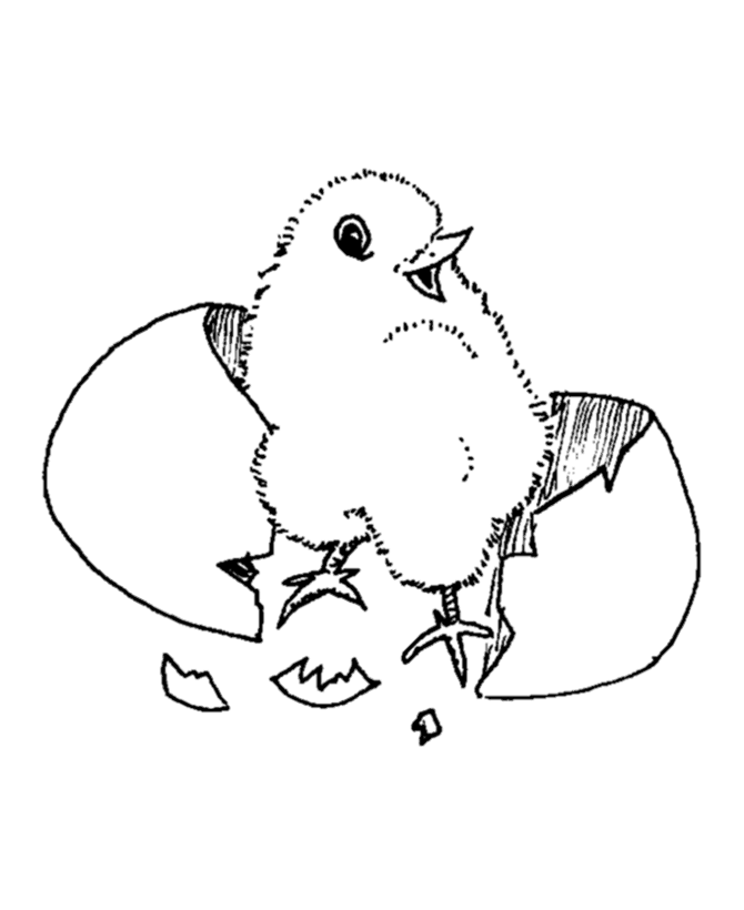 chicken-coloring-page-0014-q1