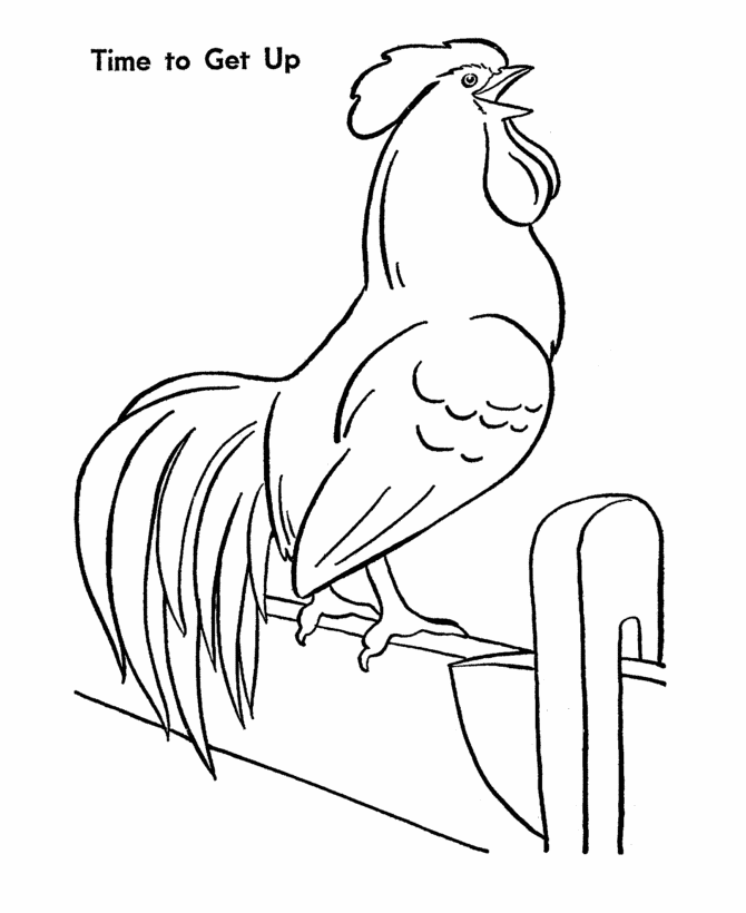 chicken-coloring-page-0027-q1