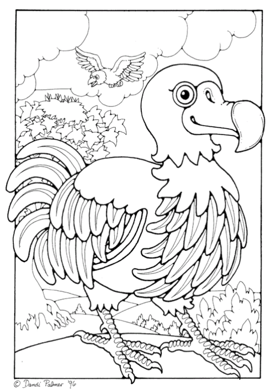 chicken-coloring-page-0066-q3