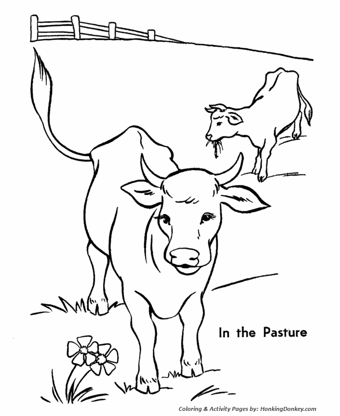 cow-coloring-page-0025-q1