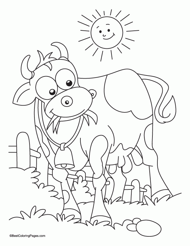 cow-coloring-page-0059-q1