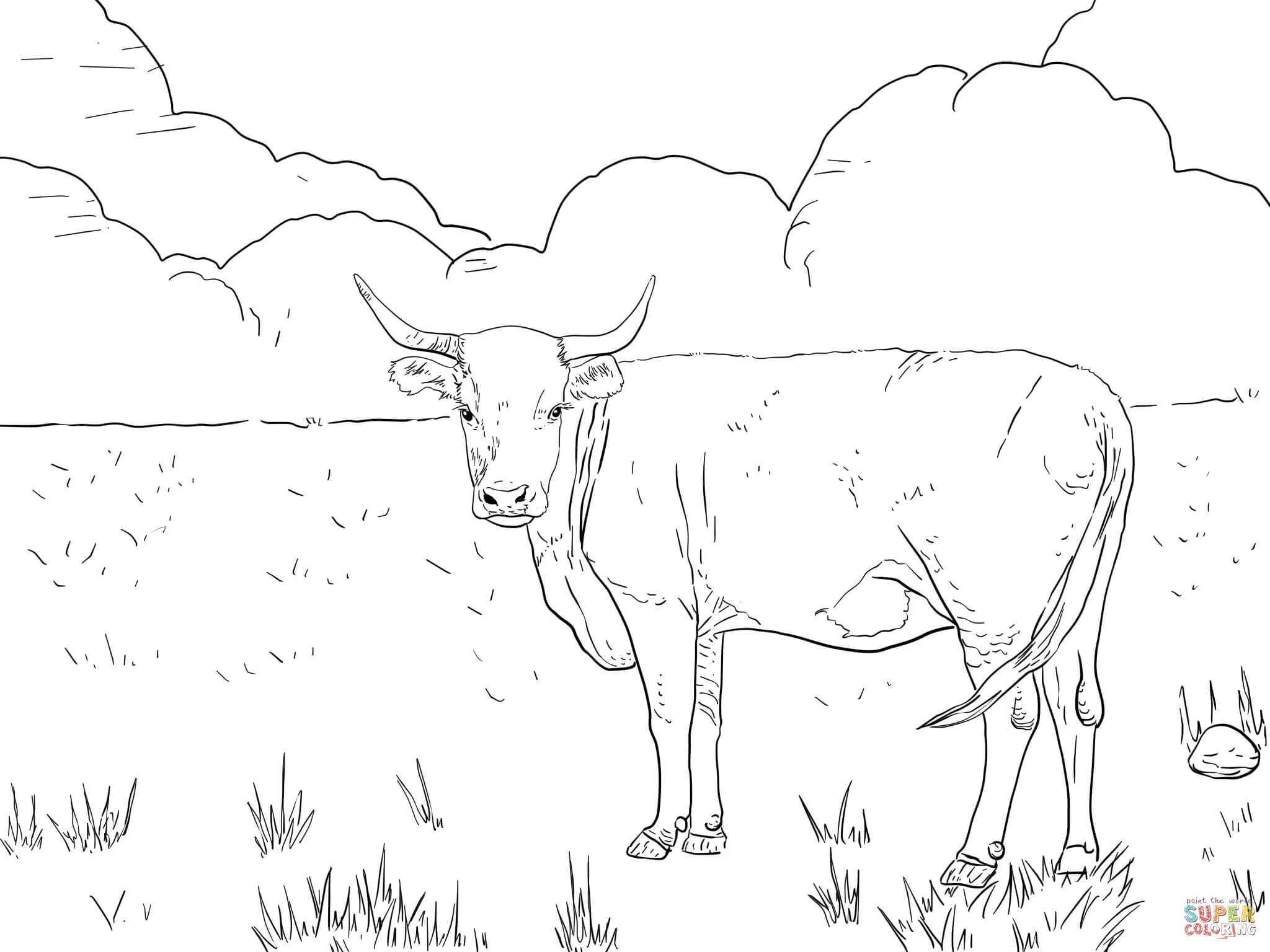 cow-coloring-page-0079-q1