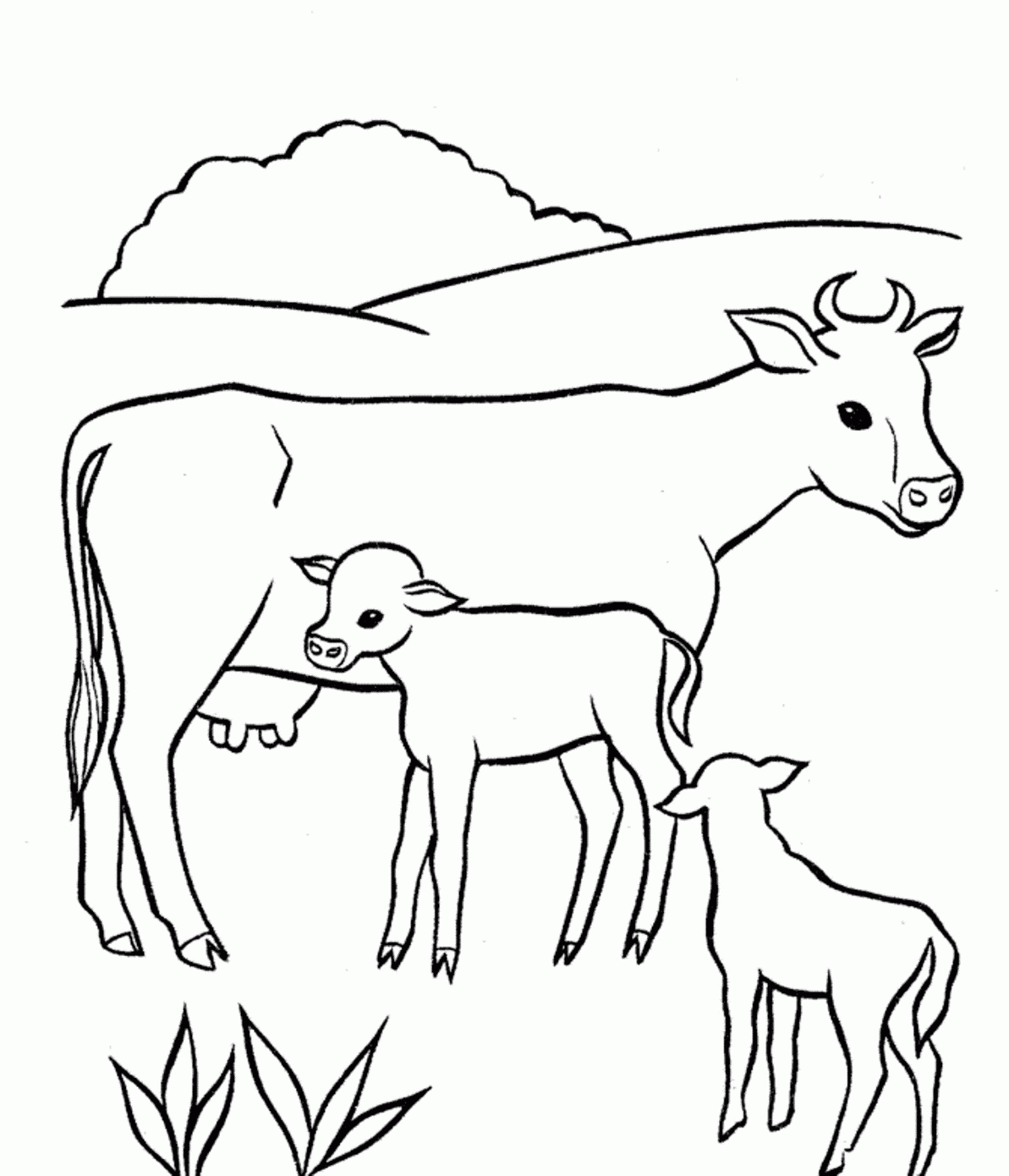 cow-coloring-page-0080-q1