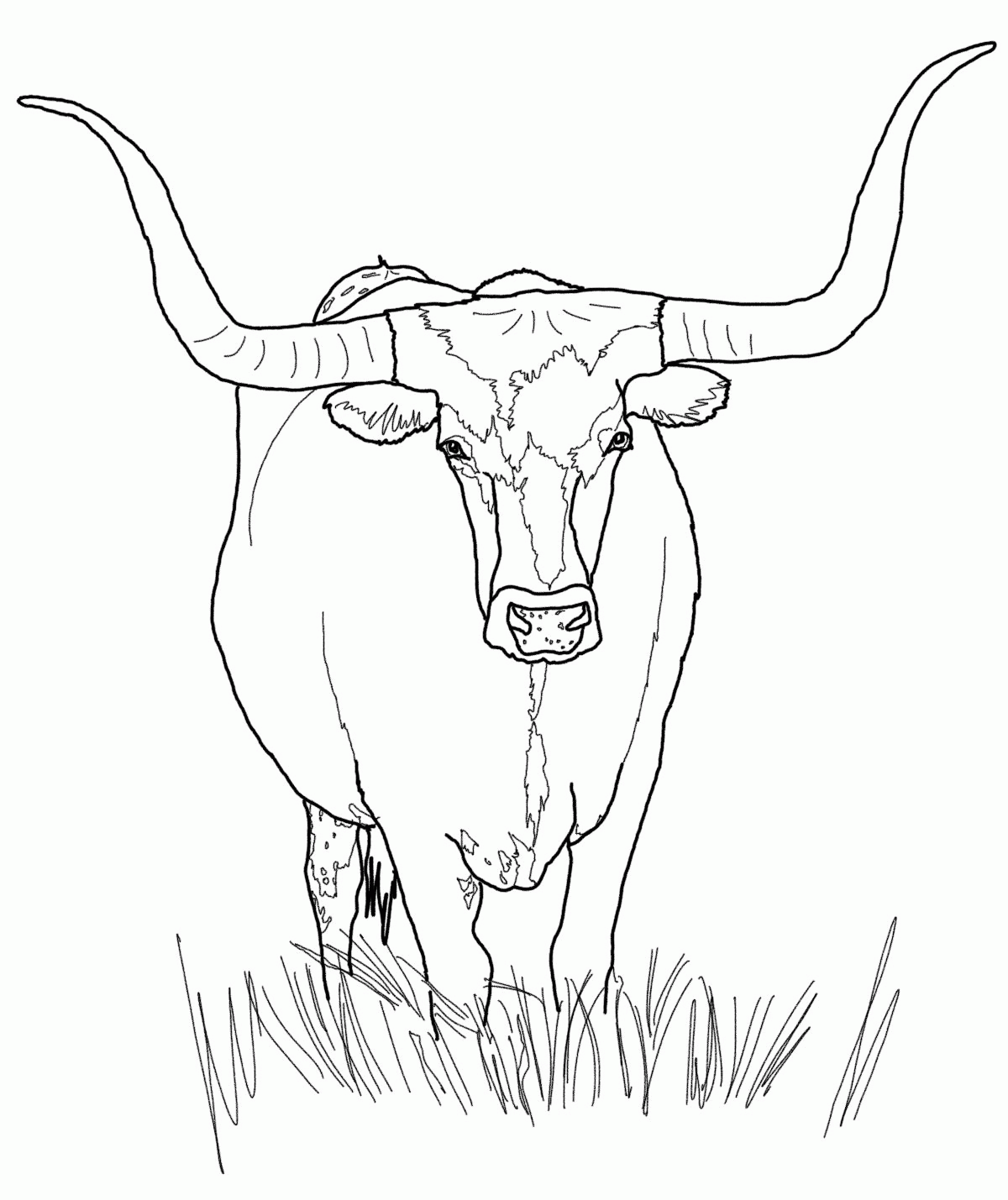 cow-coloring-page-0083-q1