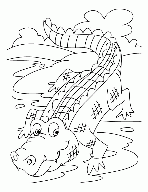 crocodile-coloring-page-0015-q1