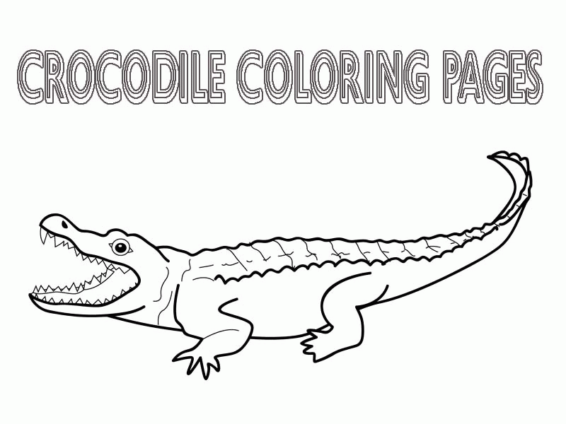crocodile-coloring-page-0016-q1
