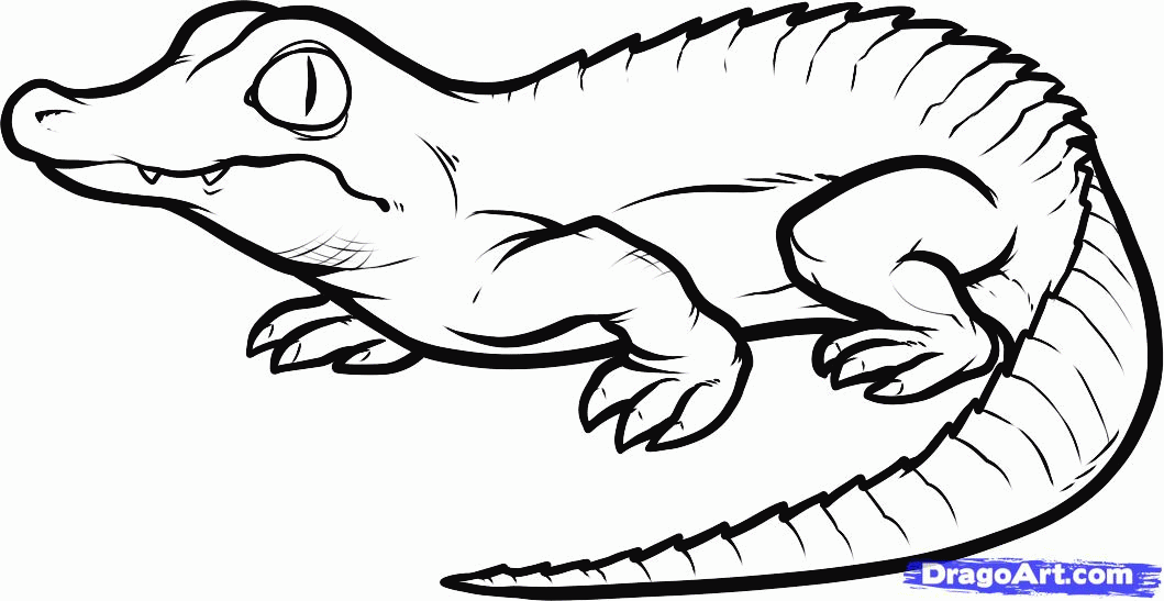 crocodile-coloring-page-0042-q1