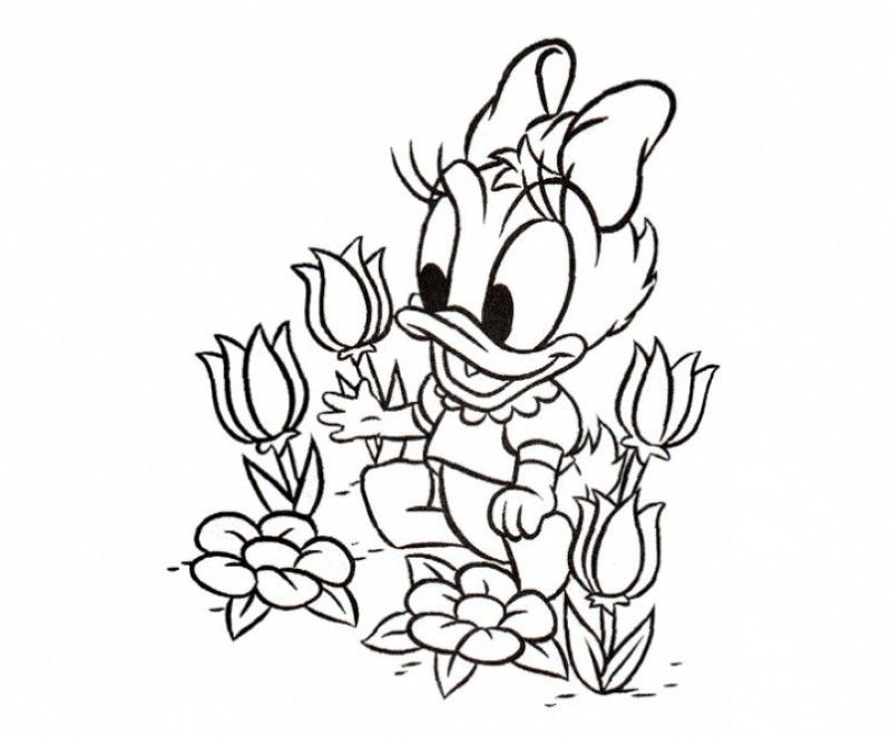 daisy-duck-coloring-page-0045-q1