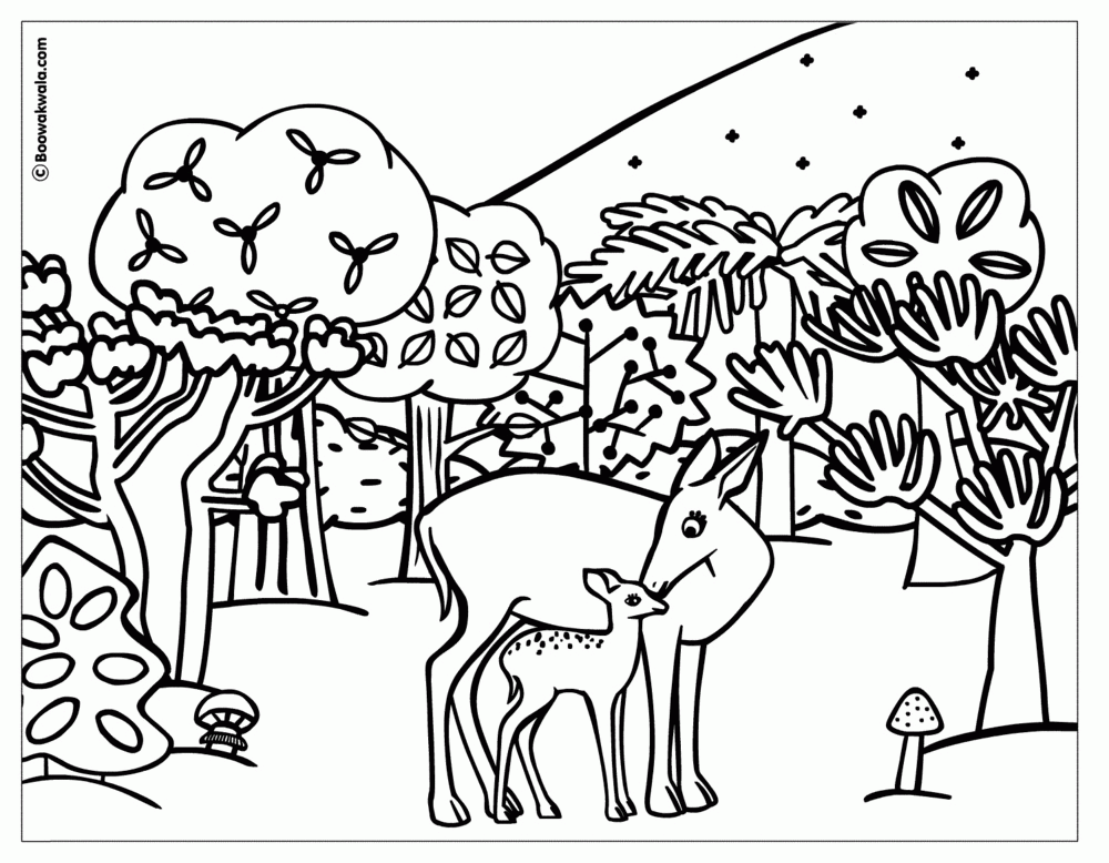 deer-coloring-page-0012-q1