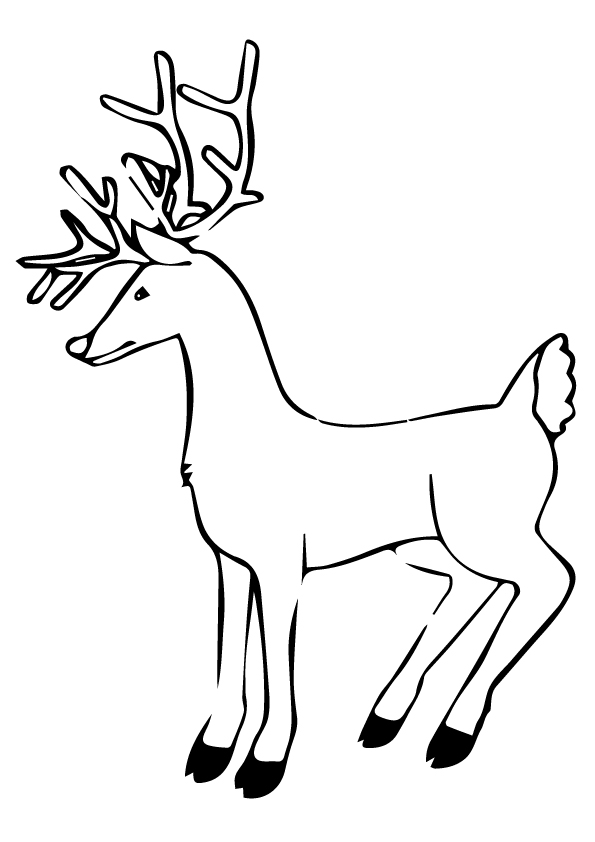 deer-coloring-page-0037-q2