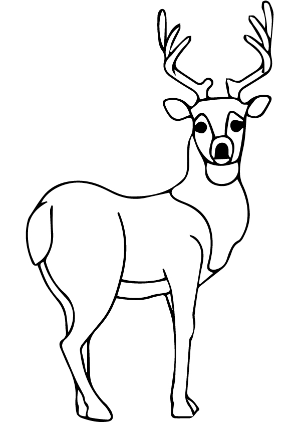 deer-coloring-page-0040-q2