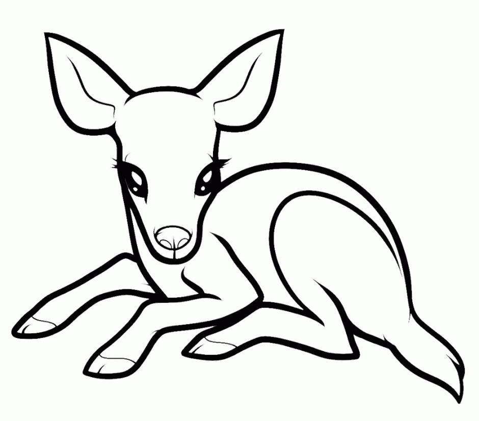 deer-coloring-page-0051-q1