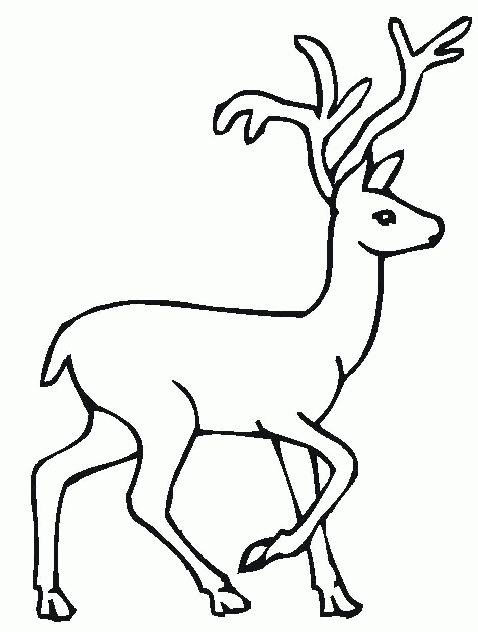 deer-coloring-page-0055-q1