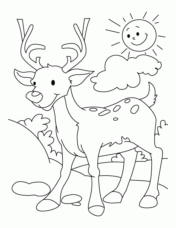 deer-coloring-page-0062-q1