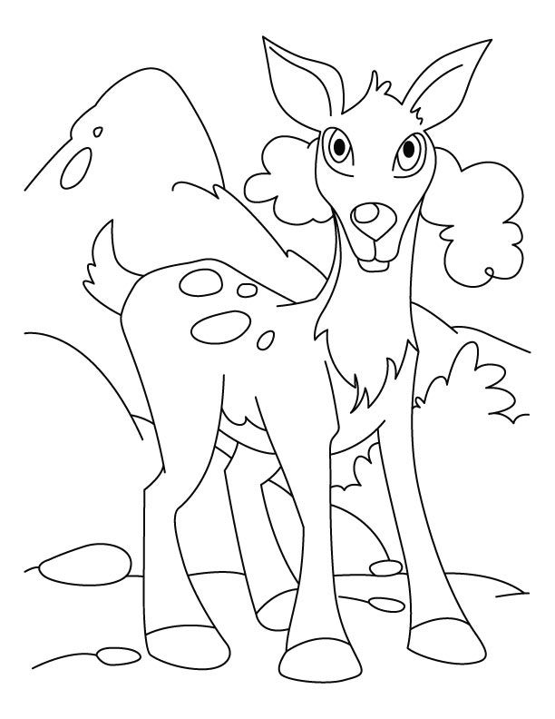 deer-coloring-page-0067-q1
