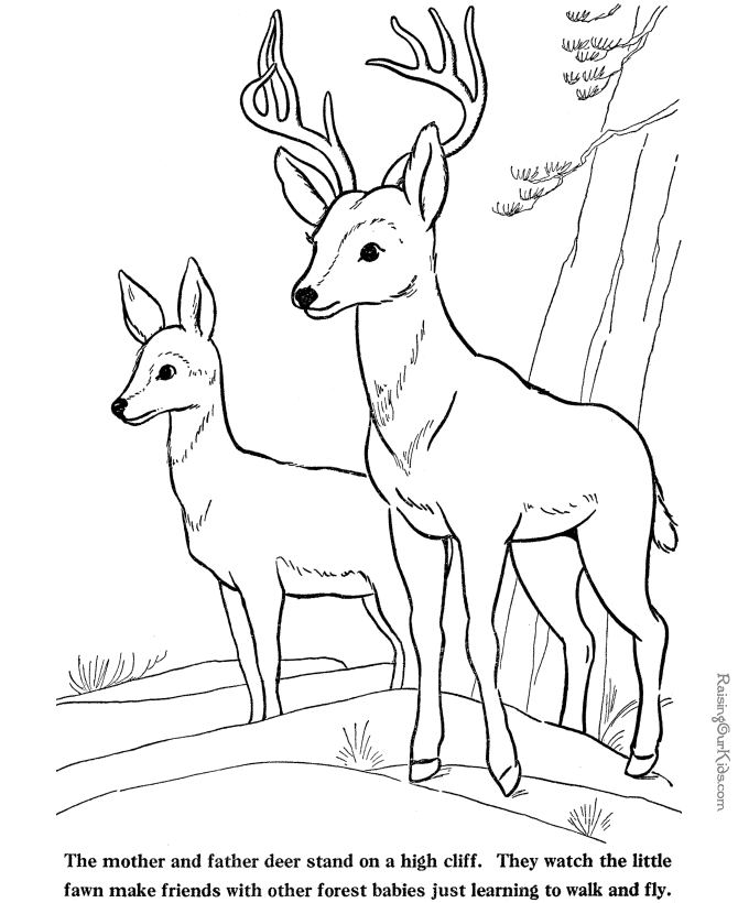 deer-coloring-page-0071-q1