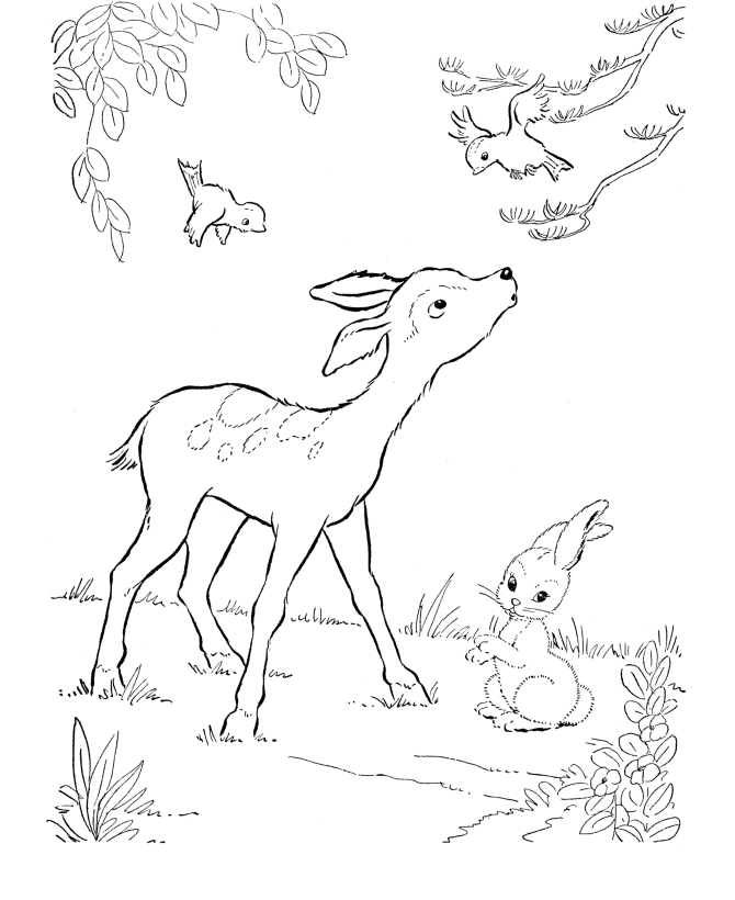 deer-coloring-page-0075-q1