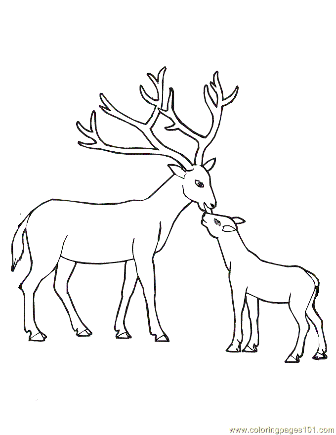 deer-coloring-page-0082-q1