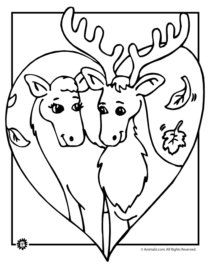 deer-coloring-page-0084-q1