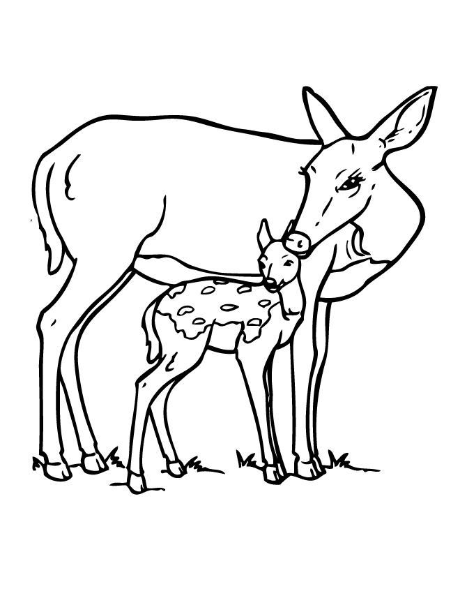 deer-coloring-page-0087-q1