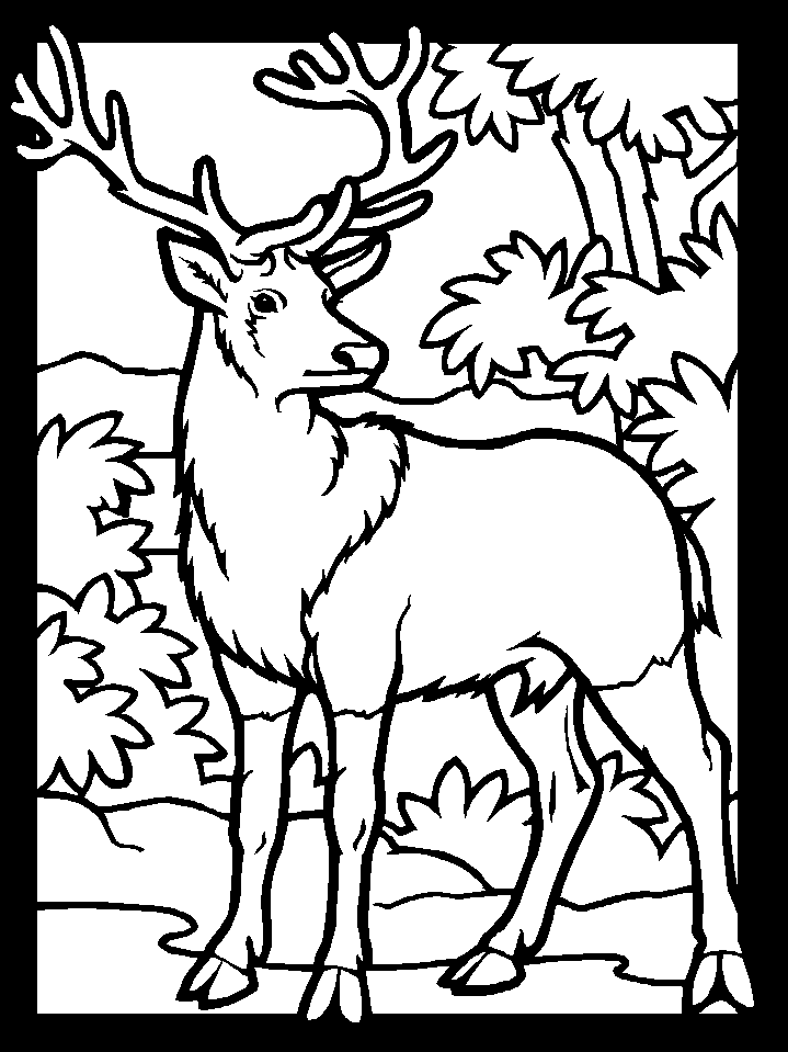 deer-coloring-page-0092-q1