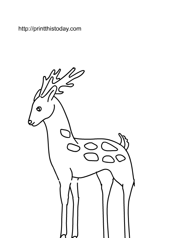 deer-coloring-page-0095-q1