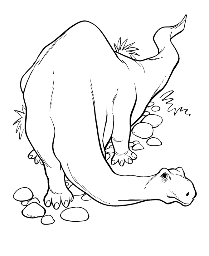 dinosaur-coloring-page-0053-q1
