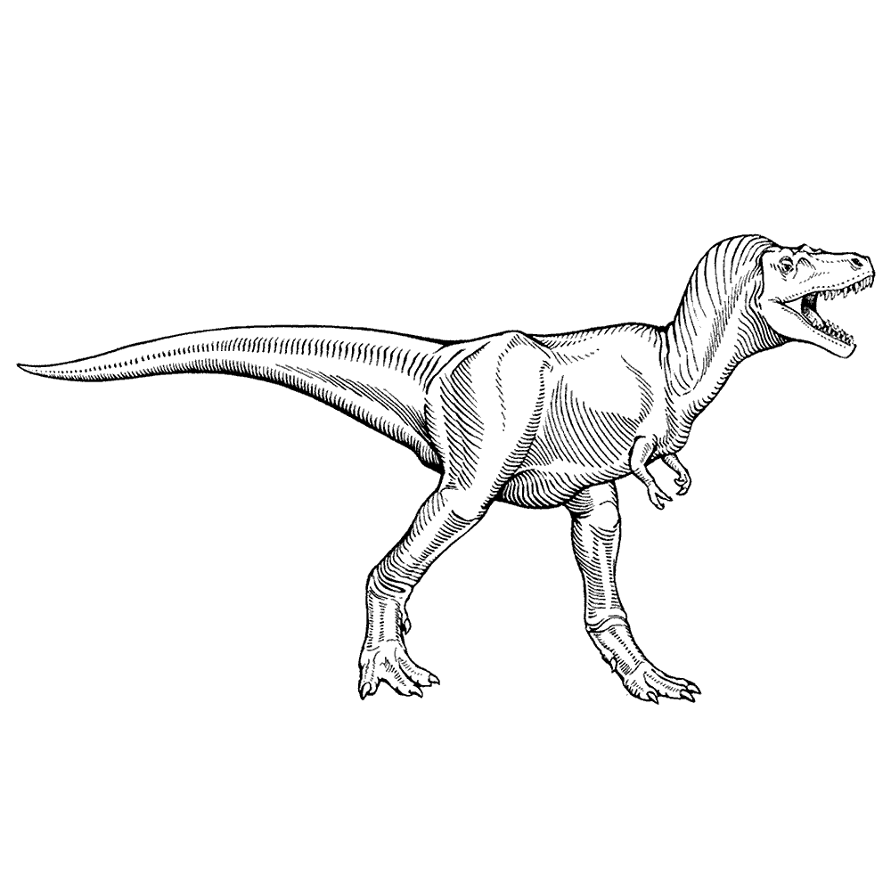 dinosaur-coloring-page-0077-q4