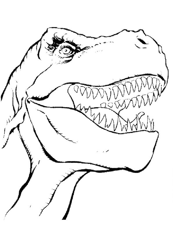dinosaur-coloring-page-0098-q2
