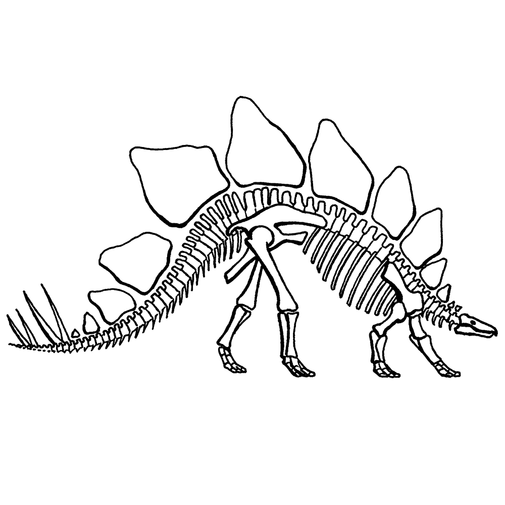 dinosaur-coloring-page-0141-q4