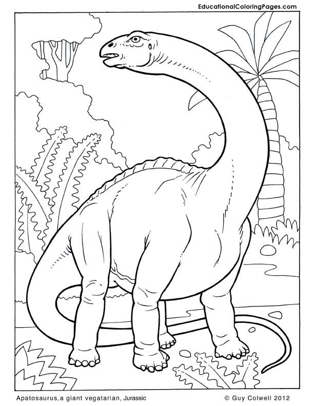 dinosaur-coloring-page-0142-q1