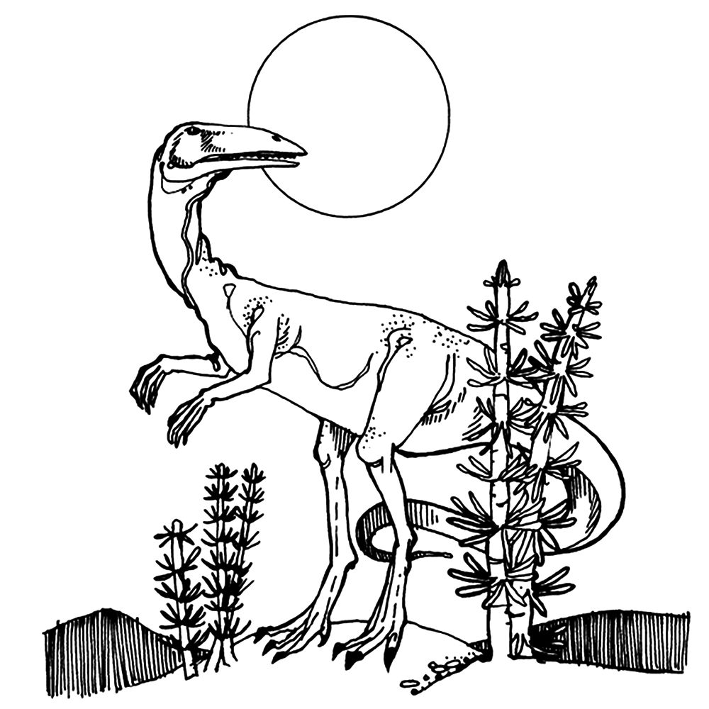 dinosaur-coloring-page-0167-q4