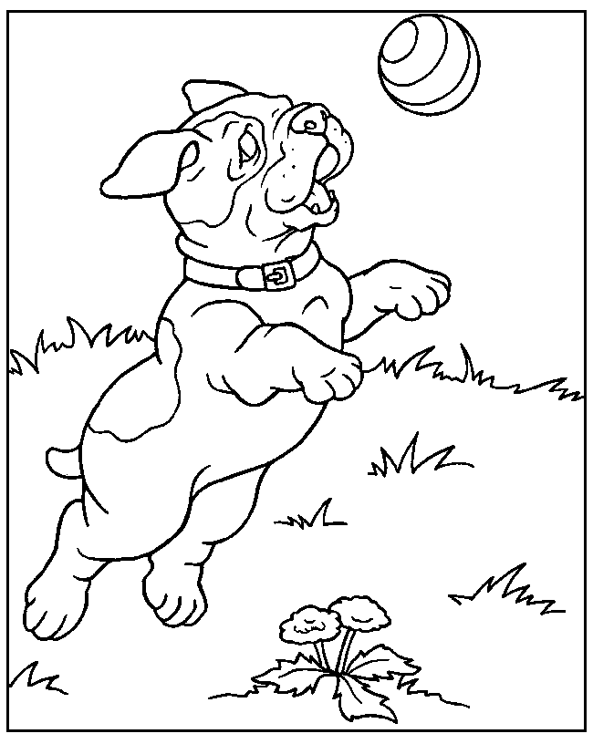 Dog: Coloring Pages & Books - 100% FREE and printable!